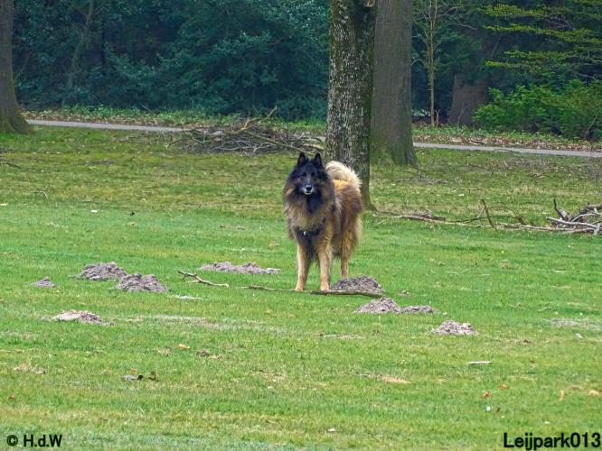 Leijpark 013 Beestenboel 29-3-2022