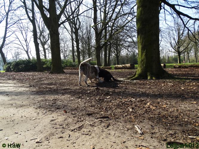 Leijpark 013 Beestenboel 29-3-2022