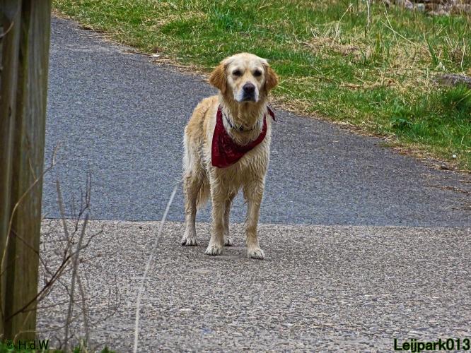 Leijpark 013 Beestenboel 29-3-2022