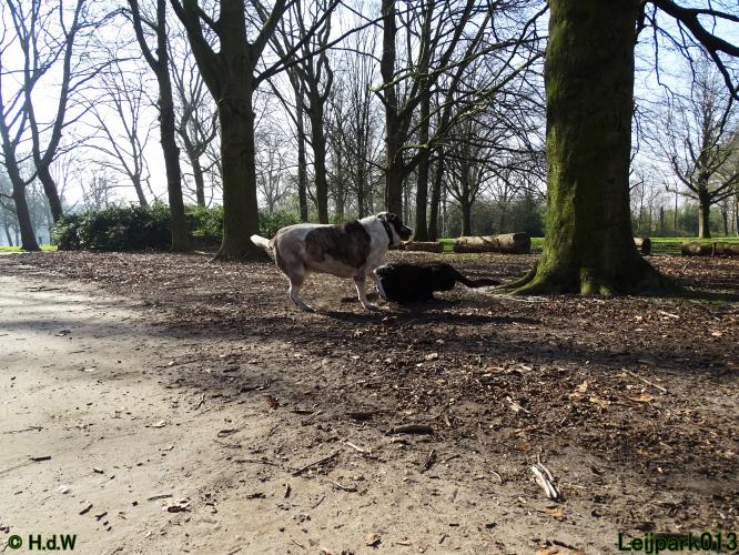 Leijpark 013 Beestenboel 29-3-2022