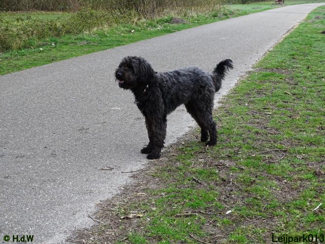 Leijpark 013 Beestenboel 29-3-2022