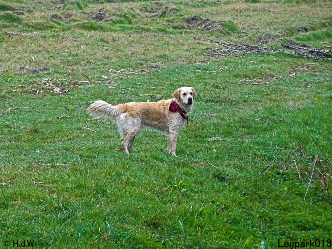 Leijpark 013 Beestenboel 29-3-2022