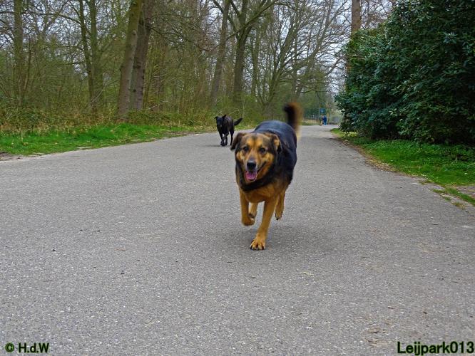 Leijpark 013 Beestenboel 29-3-2022