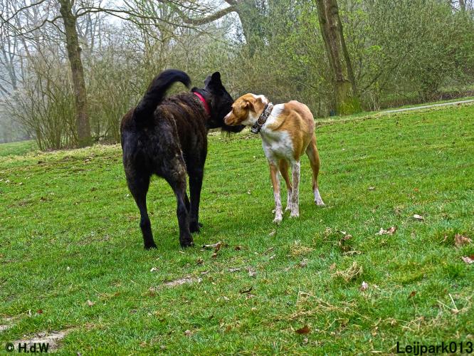 Leijpark 013 Beestenboel 29-3-2022