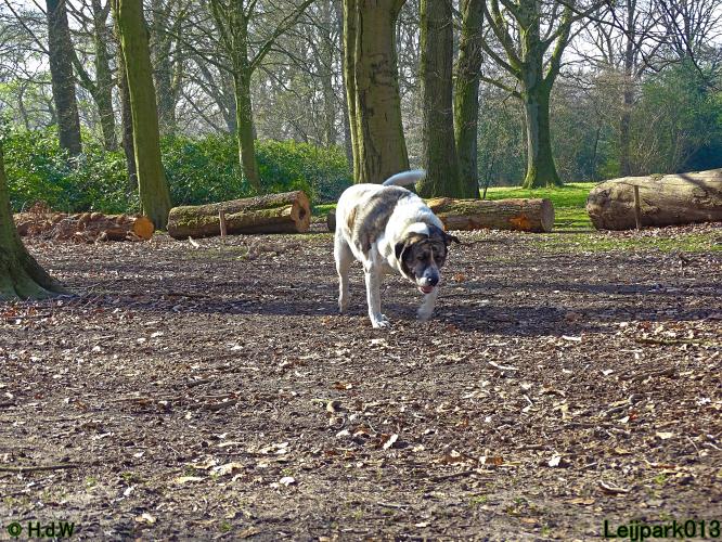 Leijpark 013 Beestenboel 29-3-2022