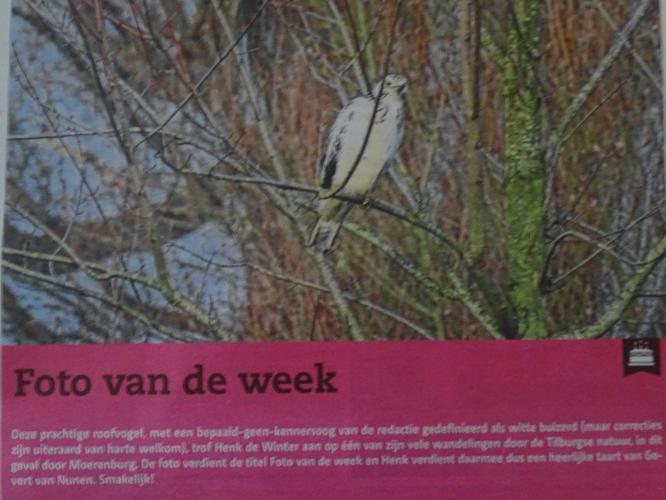 Leijpark013 foto's van mij in de krant 
