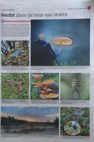 Leijpark013 foto's van mij in de krant 