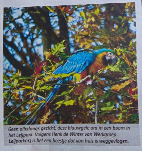 Leijpark013 foto's van mij in de krant 