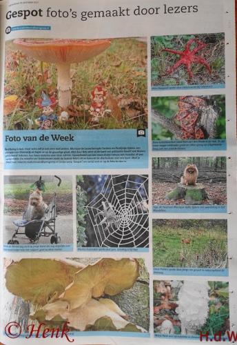 Leijpark013 foto's van mij in de krant 