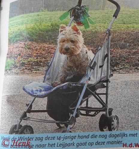 Leijpark013 foto's van mij in de krant 