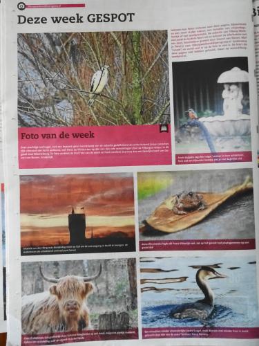 Leijpark013 foto's van mij in de krant 