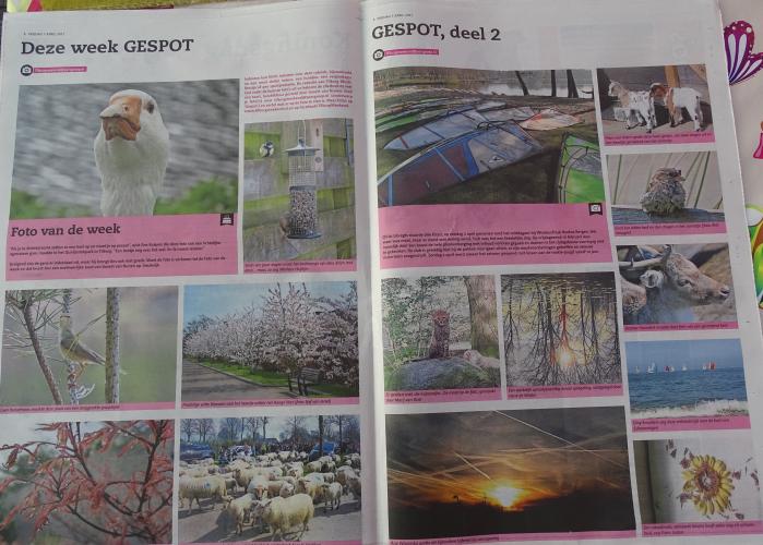 Leijpark013 foto's van mij in de krant 