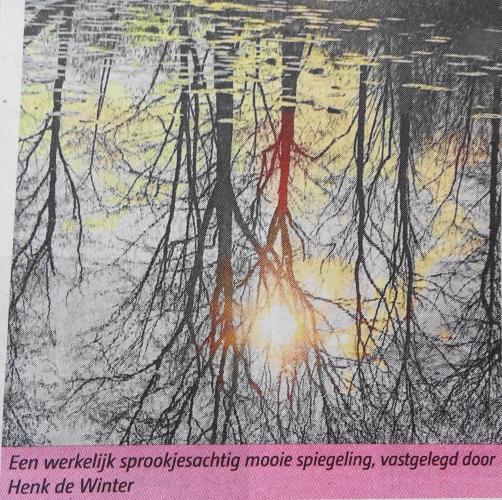 Leijpark013 foto's van mij in de krant 