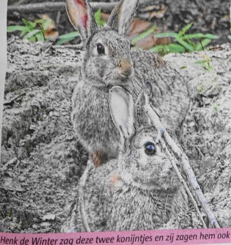 Leijpark013 foto's van mij in de krant 