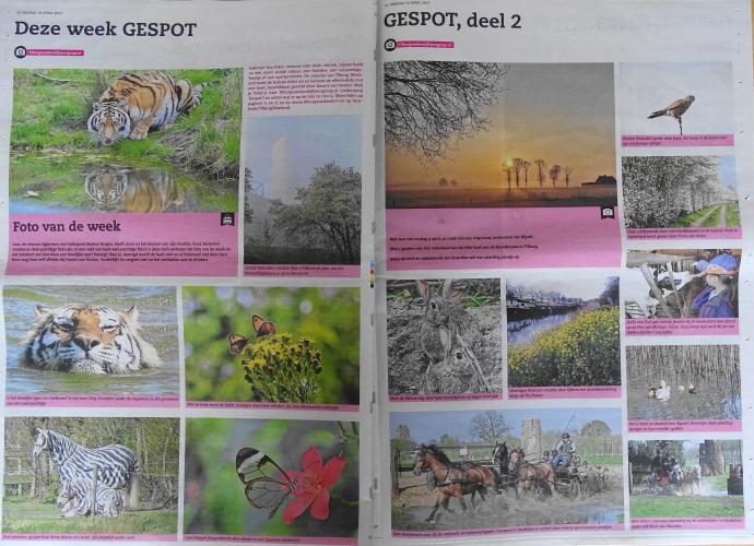 Leijpark013 foto's van mij in de krant 