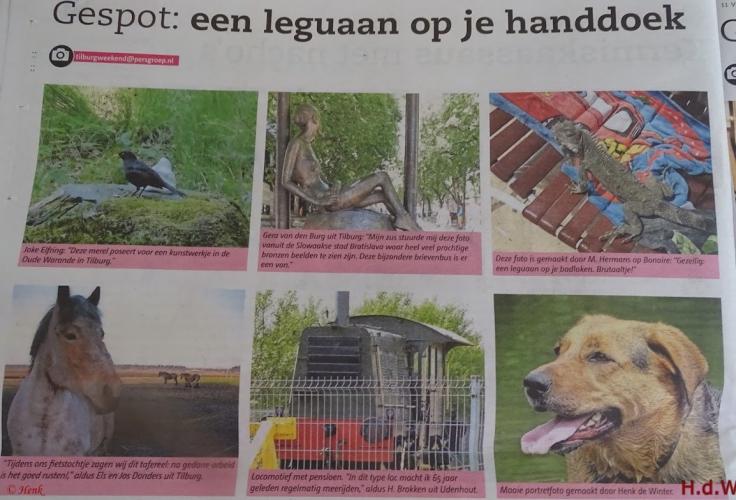 Leijpark013 foto's van mij in de krant 