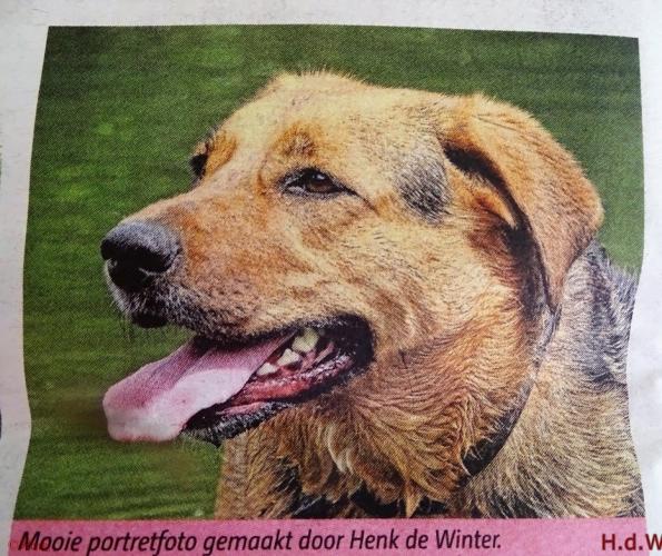 Leijpark013 foto's van mij in de krant 