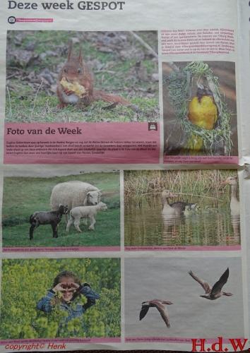 Leijpark013 foto's van mij in de krant 