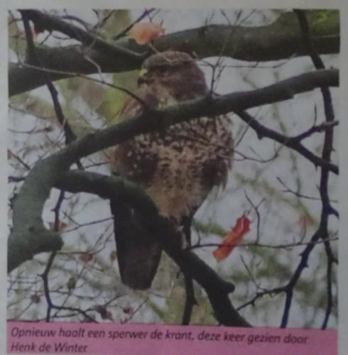 Leijpark013 foto's van mij in de krant 