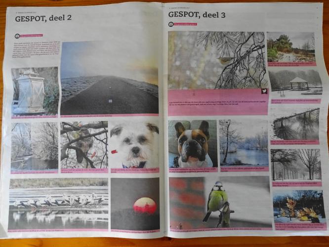 Leijpark013 foto's van mij in de krant 