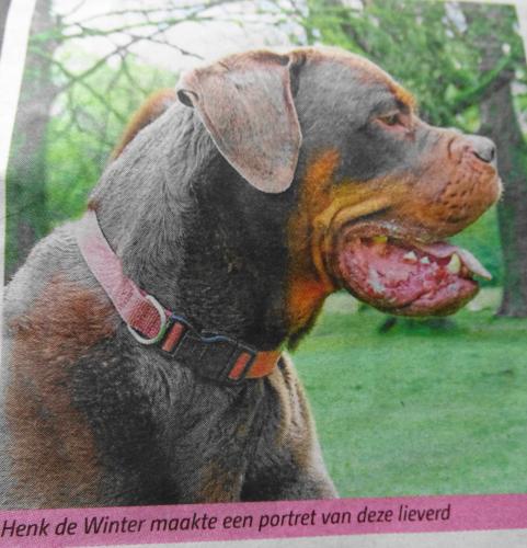 Leijpark013 foto's van mij in de krant 