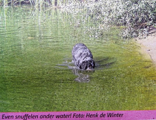 Leijpark013 foto's van mij in de krant 