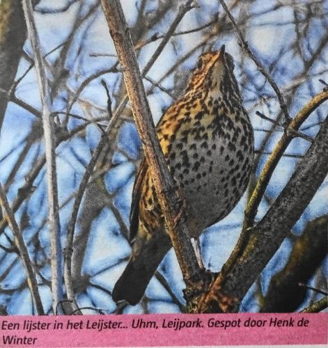 Leijpark013 foto's van mij in de krant 