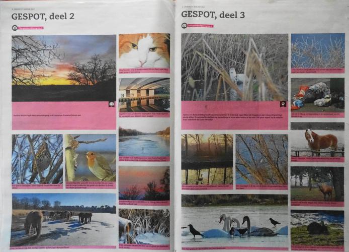 Leijpark013 foto's van mij in de krant 