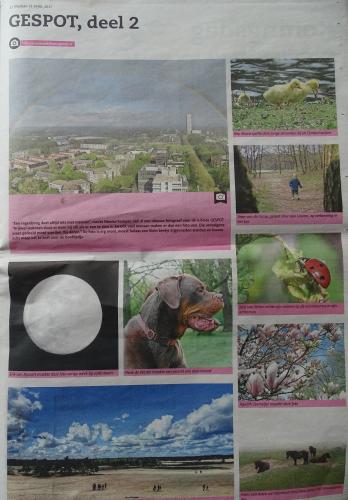 Leijpark013 foto's van mij in de krant 