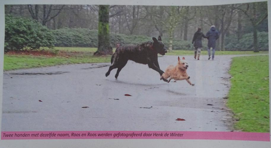 Leijpark013 foto's van mij in de krant 