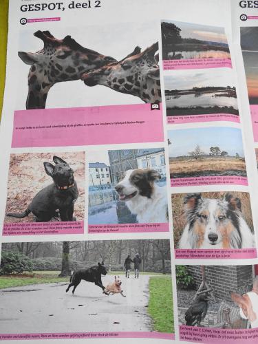 Leijpark013 foto's van mij in de krant 