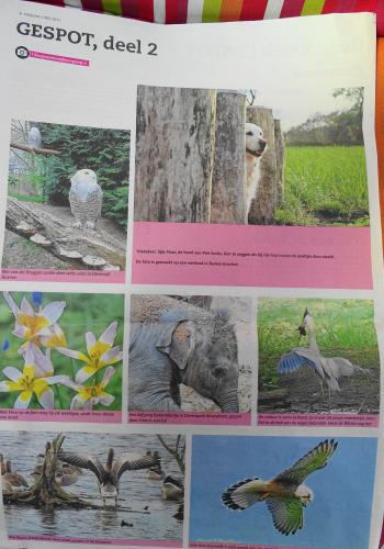 Leijpark013 foto's van mij in de krant 