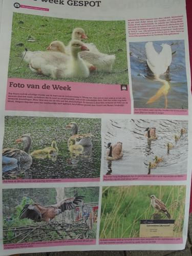 Leijpark013 foto's van mij in de krant 