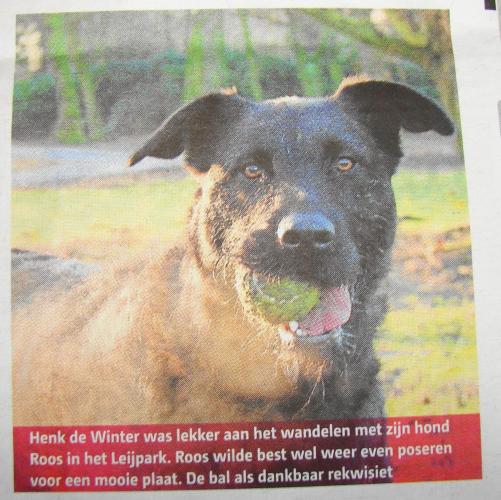 Leijpark013 foto's van mij in de krant 