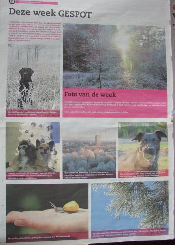 Leijpark013 foto's van mij in de krant 
