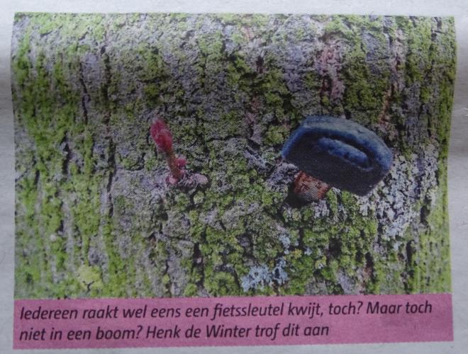 Leijpark013 foto's van mij in de krant 