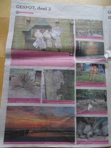 Leijpark013 foto's van mij in de krant 