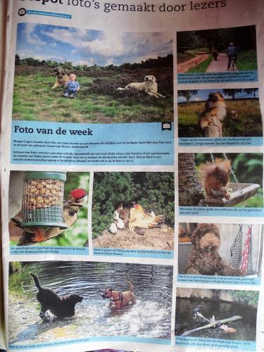Leijpark013 foto's van mij in de krant 