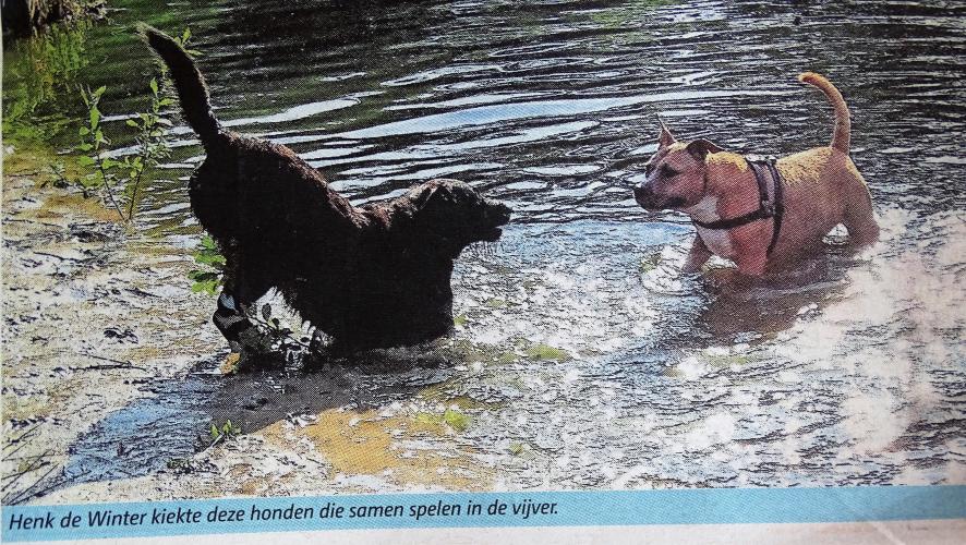 Leijpark013 foto's van mij in de krant 