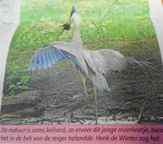 Leijpark013 foto's van mij in de krant 