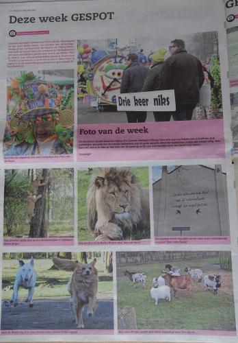 Leijpark013 foto's van mij in de krant 