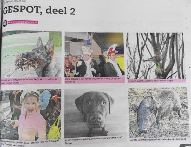 Leijpark013 foto's van mij in de krant 