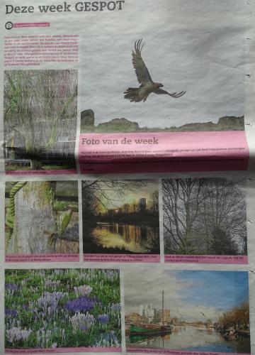 Leijpark013 foto's van mij in de krant 