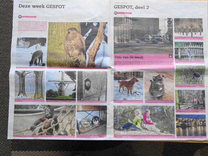 Leijpark013 foto's van mij in de krant 