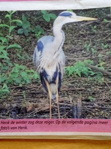 Leijpark013 foto's van mij in de krant 