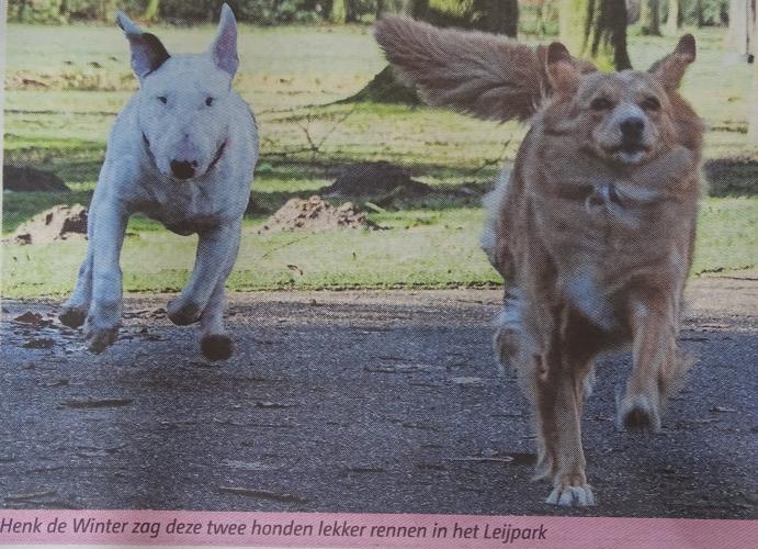 Leijpark013 foto's van mij in de krant 