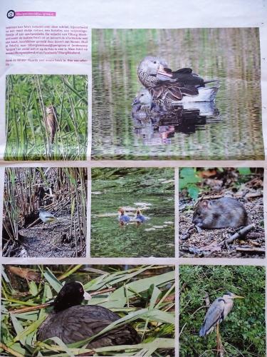 Leijpark013 foto's van mij in de krant 