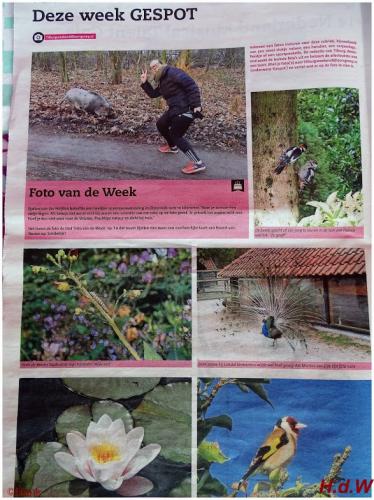 Leijpark013 foto's van mij in de krant 