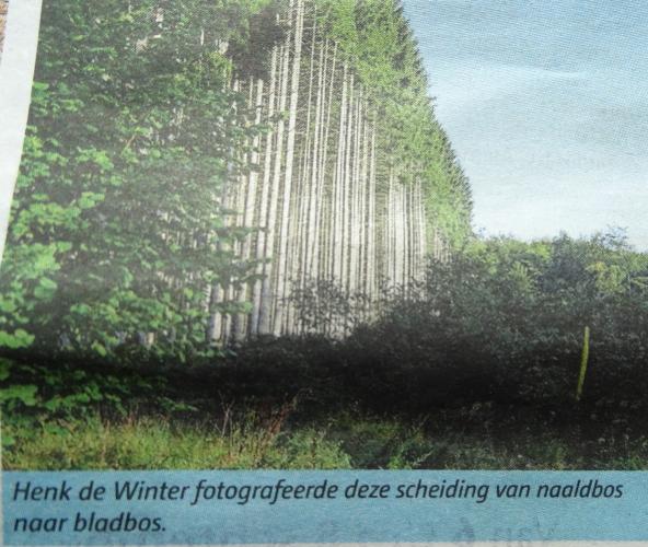 Leijpark013 foto's van mij in de krant 