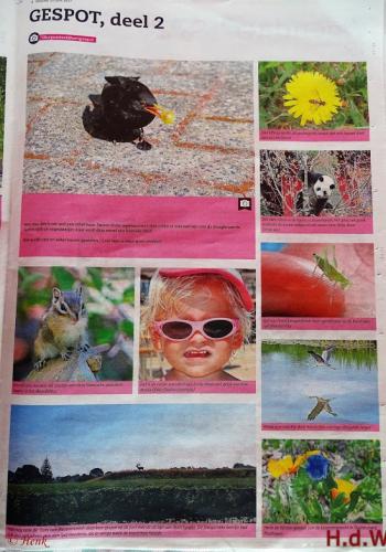 Leijpark013 foto's van mij in de krant 